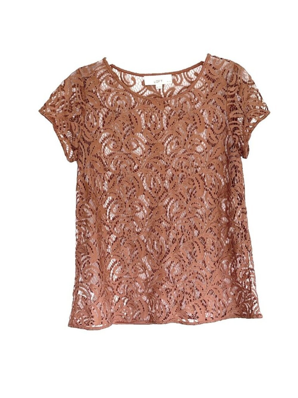 Loft Boho Fairy Grunge Whimsigoth Cottage Sheer Lace Top sz MP Layering Brown